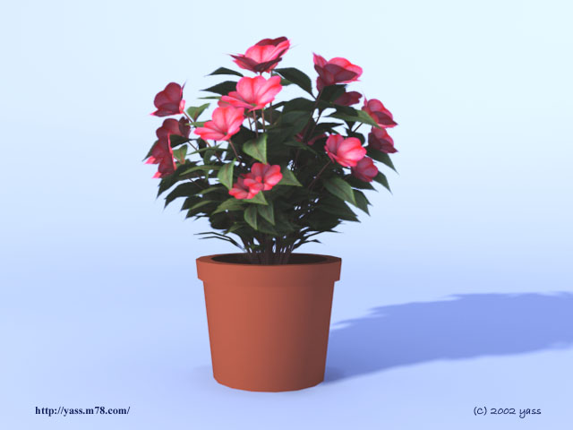 image4 [ plants ]